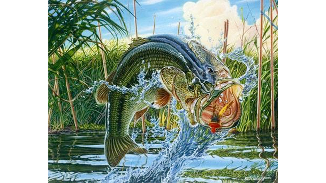 釣り人の心をくすぐる、躍動感溢れるバスアート”八百板浩司”の描く世界