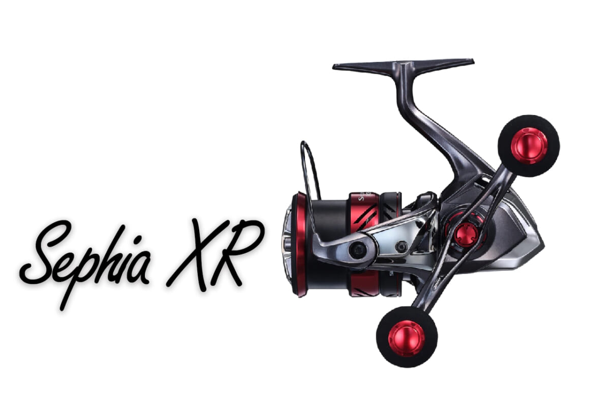 エギング “専用”スピニングリール『セフィアXR（シマノ）』で、貴重な1