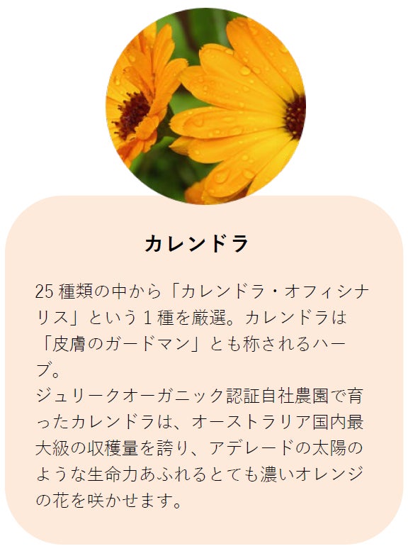 花粉や日焼け、敏感に傾いた肌に！ジュリーク「カレンドラ