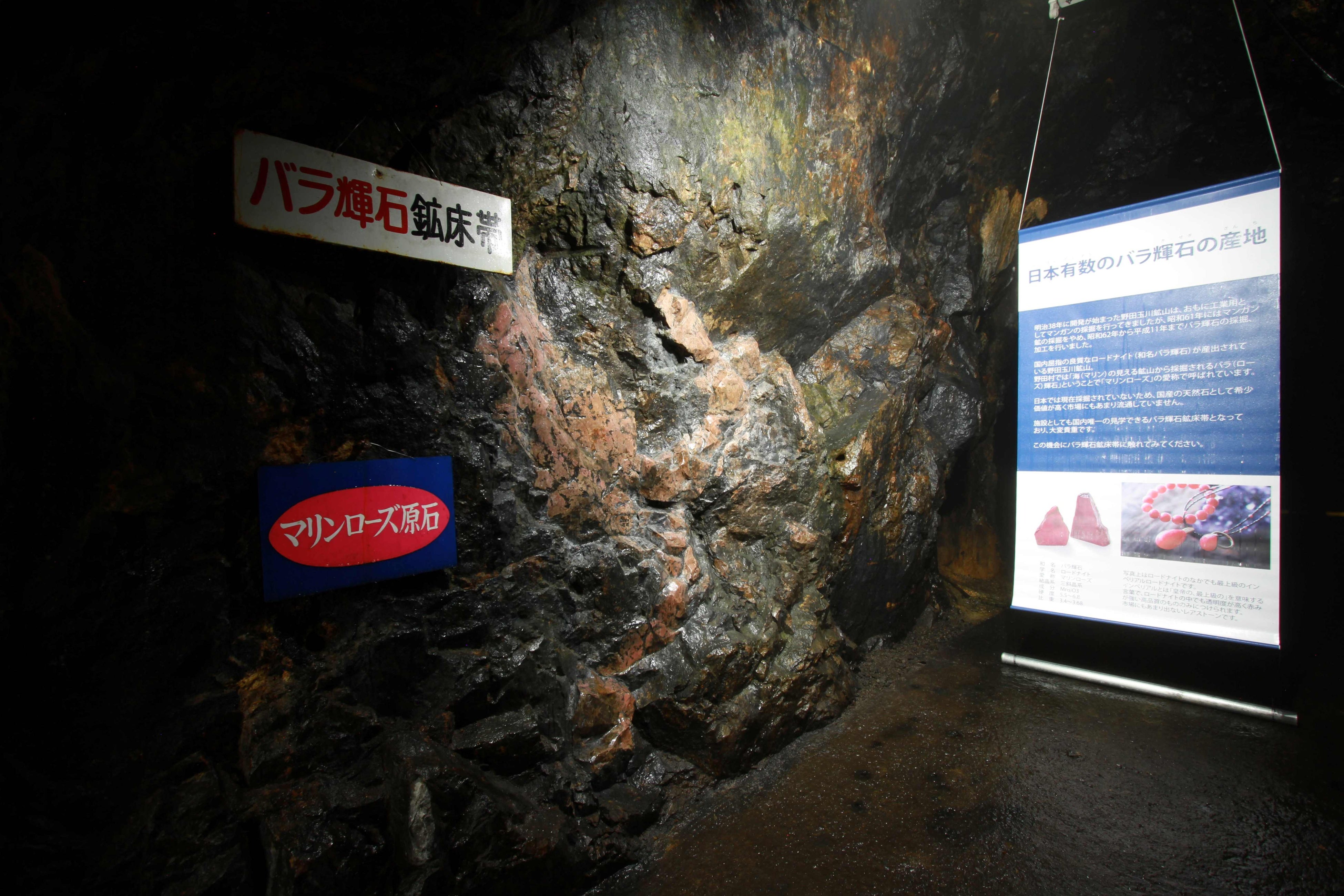 国内唯一のバラ輝石（ロードナイト）の産地 岩手県野田村 休暇村陸中