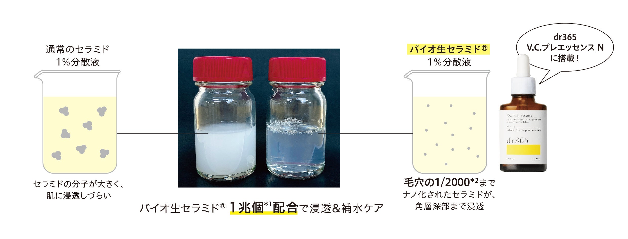 dr365「ビタミン美容液」が革新的な処方を携えリニューアル！ | 株式