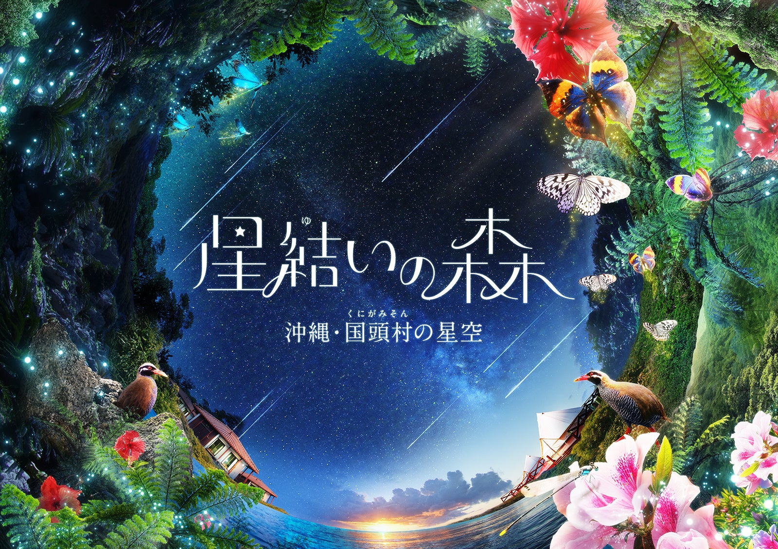 最新作『星結いの森-沖縄・国頭村の星空-』まもなくオンラインチケット