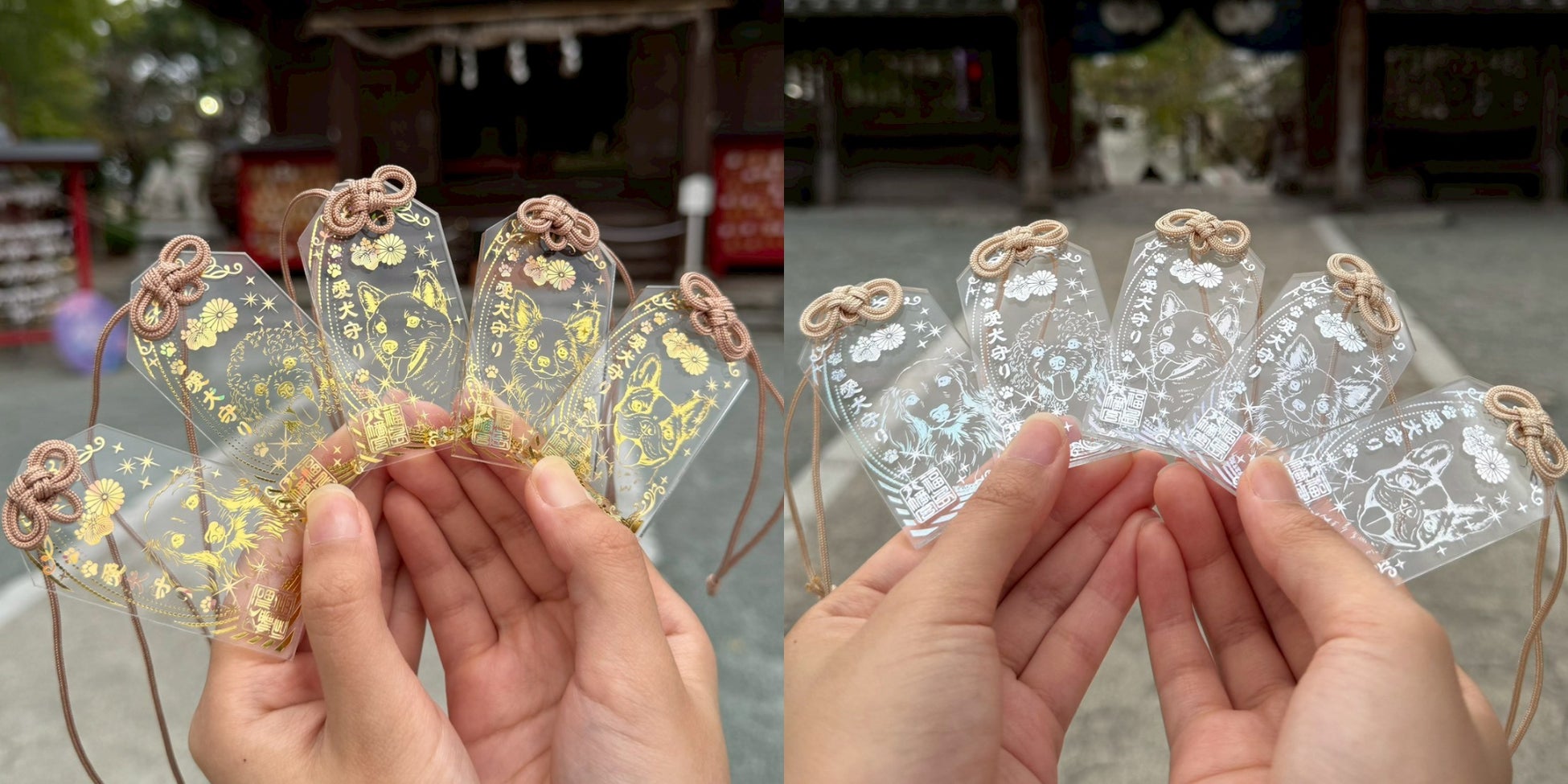 福島八幡宮「わんわんわんの日（11月1日）」にあわせて、新たな授与品