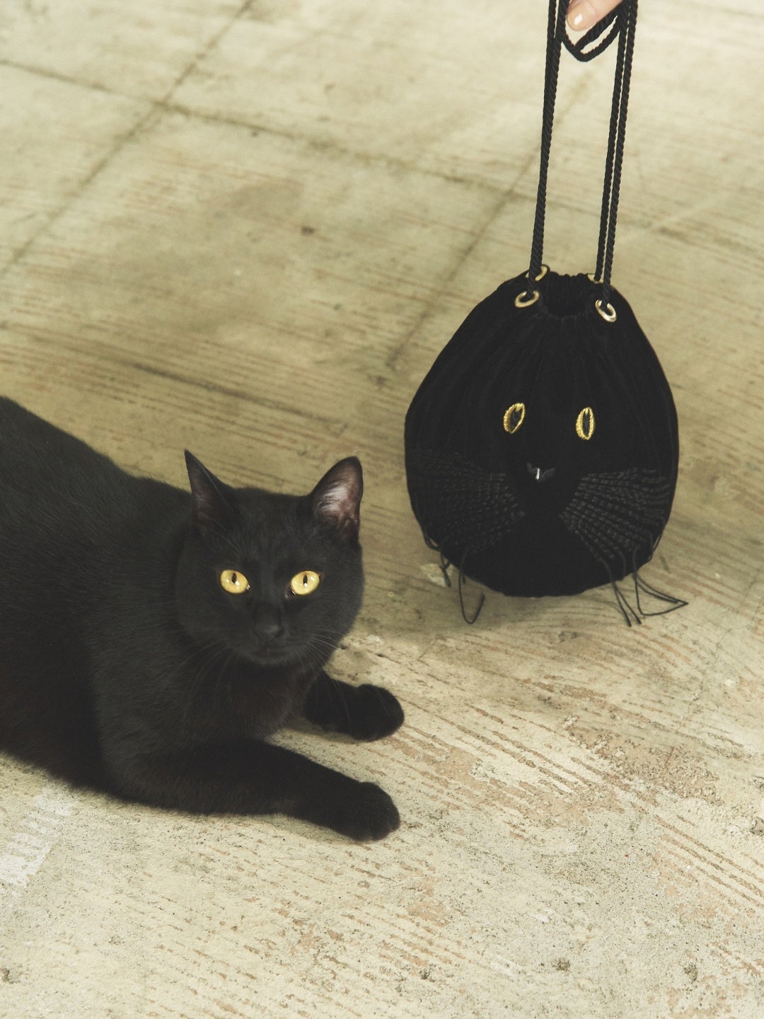 すべては、ネコと ネコを愛するヒトのために。“CAT IN DA HOUSE! ”別注