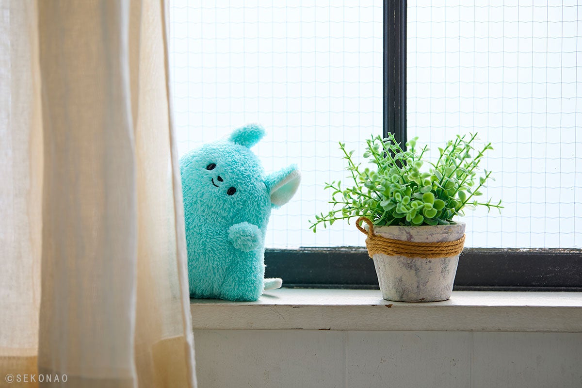 ちらりズ】ぬいぐるみ作家せこなおの人気シリーズ「ちらりズ」が株式