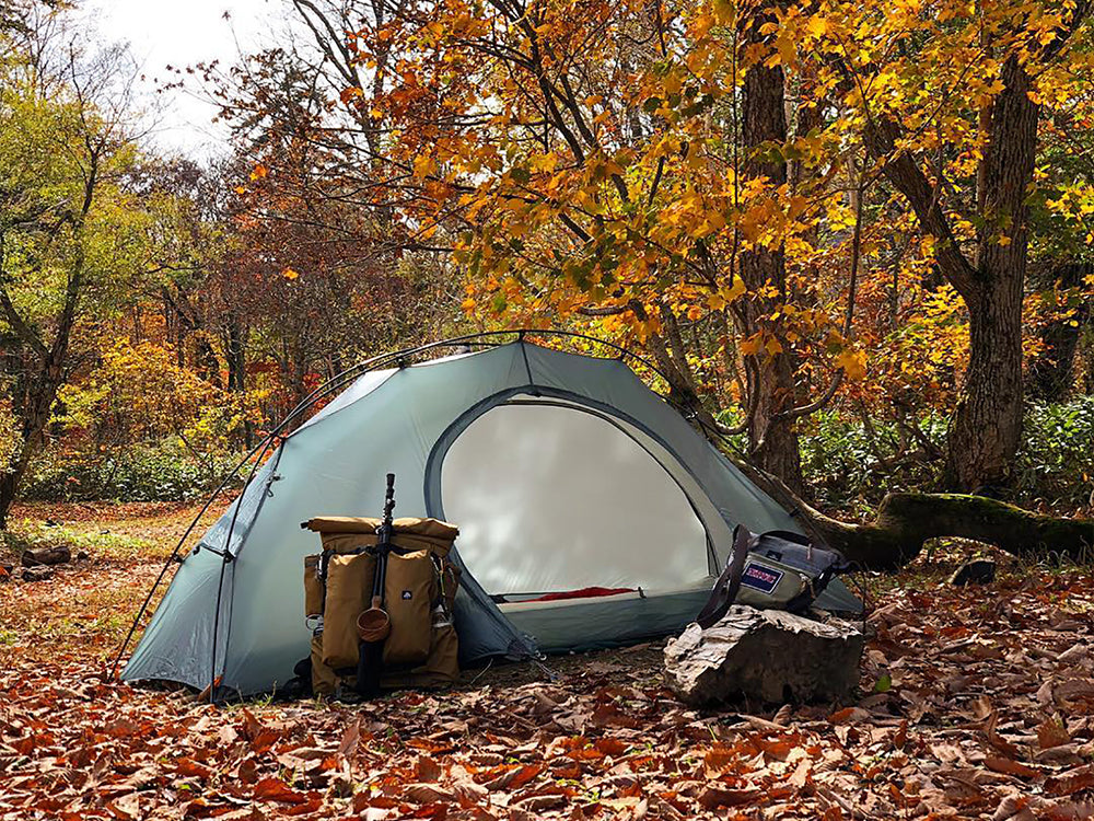 Light Rock1 – Pretents