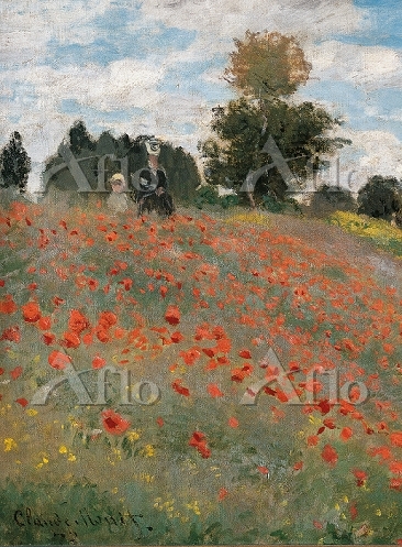 aflo_21955934.jpg