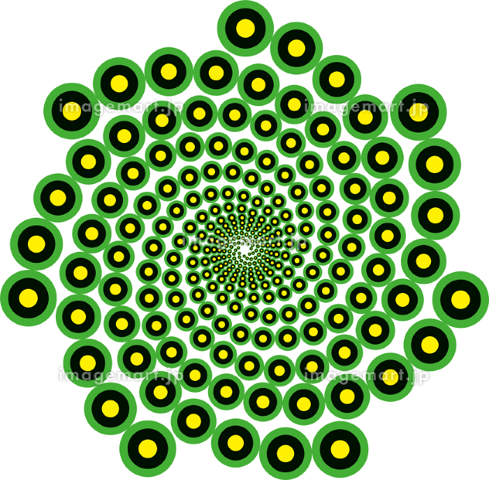 フィボナッチ数列の渦巻き模様のイラスト素材 [223388400]｜毎月1点