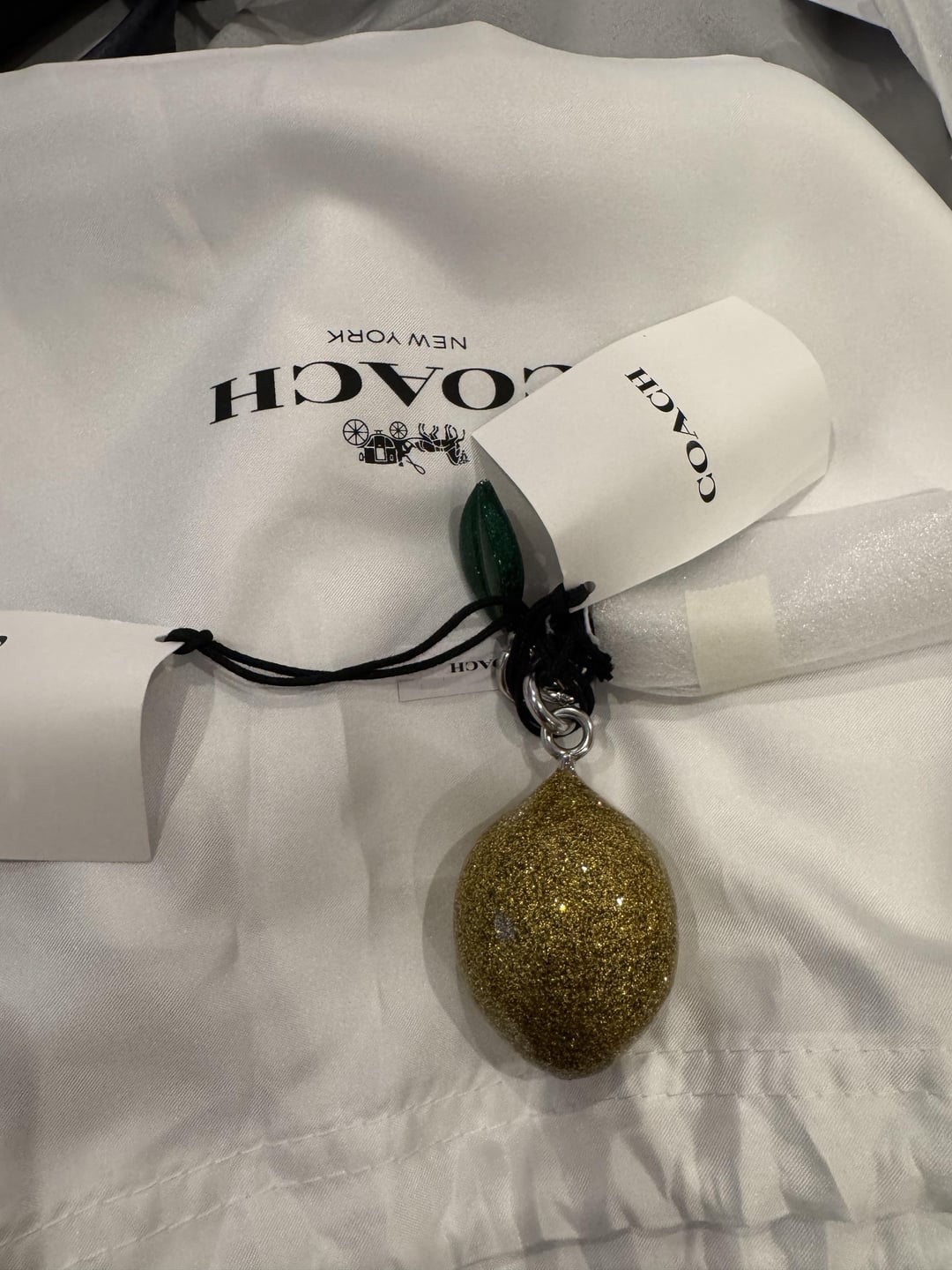Coach Lemon Bag Charm : r/Coach