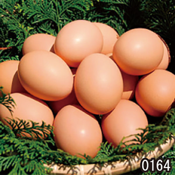 ゆめたまご | プレミア和歌山