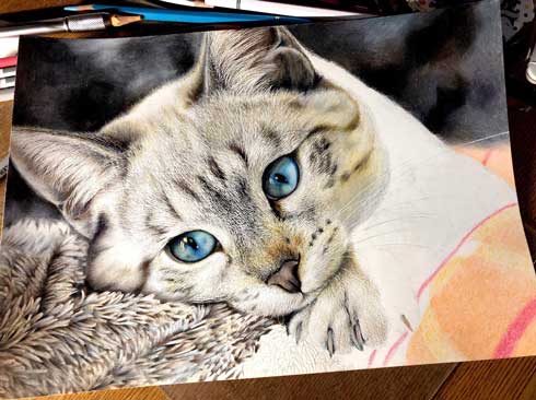 もふもふ特等席 色鉛筆画 もふもふ特等席 色鉛筆画 もふもふ特等席
