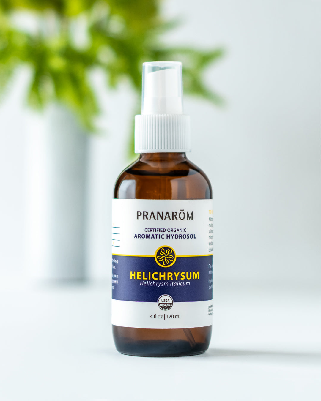 anoint様 プラナロム 新フェスティブスピリット他 合計5点