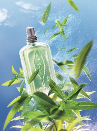 恋に効くハートのビタミン“恋ヴァーベナ”を展開。第1弾 「ミント