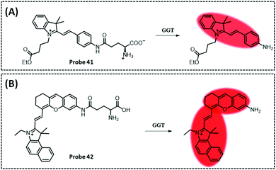 Optical/electrochemical methods for detecting mitochondrial energy