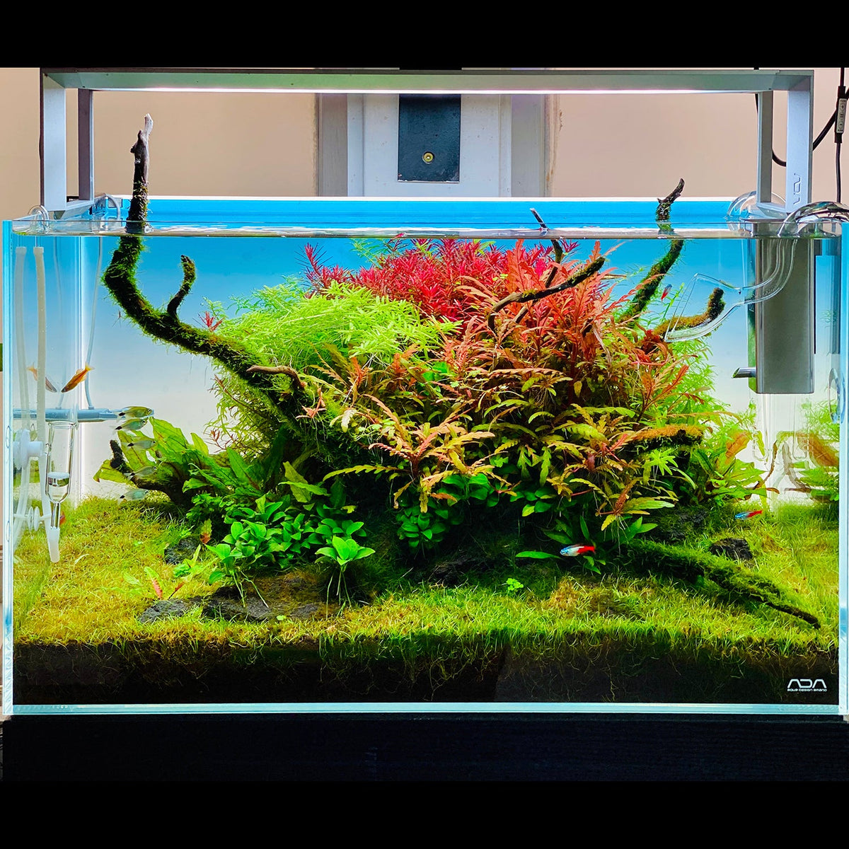 ADA AQUASKY RGB 60 (for W60cm tank with glass thickness of 6mm)