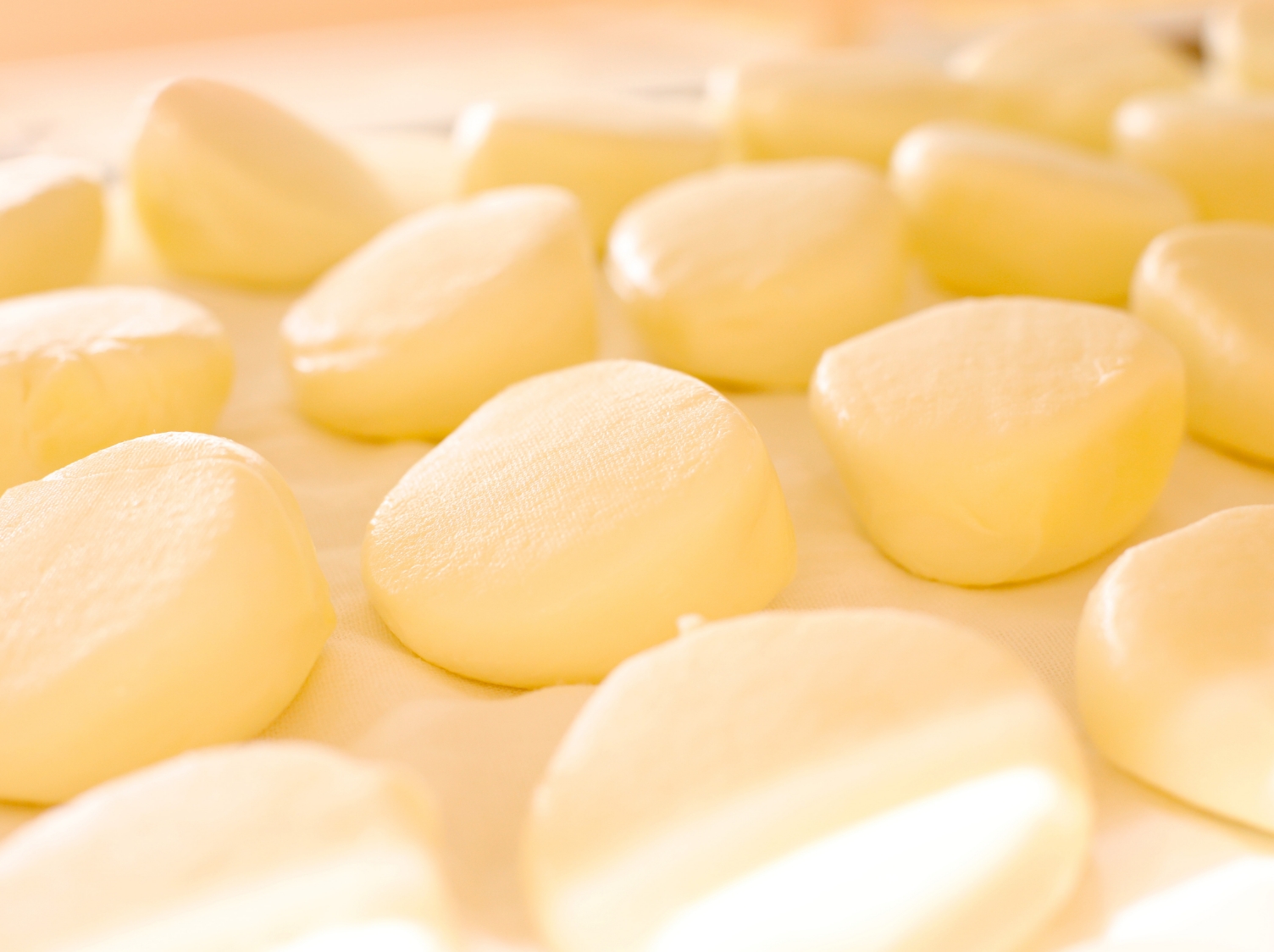 スカモルツァ | チーズ工房 白糠酪恵舎