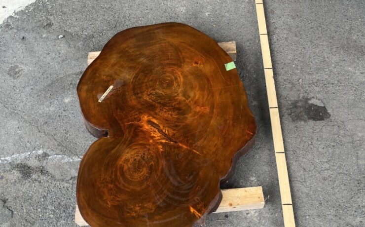古材 一枚板 一枚板テーブル 未仕上 ケヤキ材輪切り 一枚板 #651 – 一