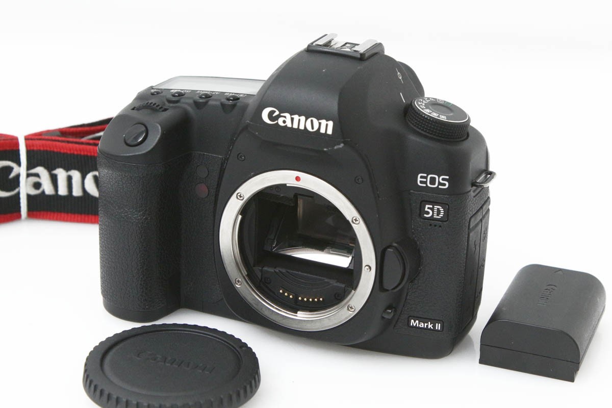 Canon キャノン EOS 5D Mark II シャッター数 約27878回 Canon