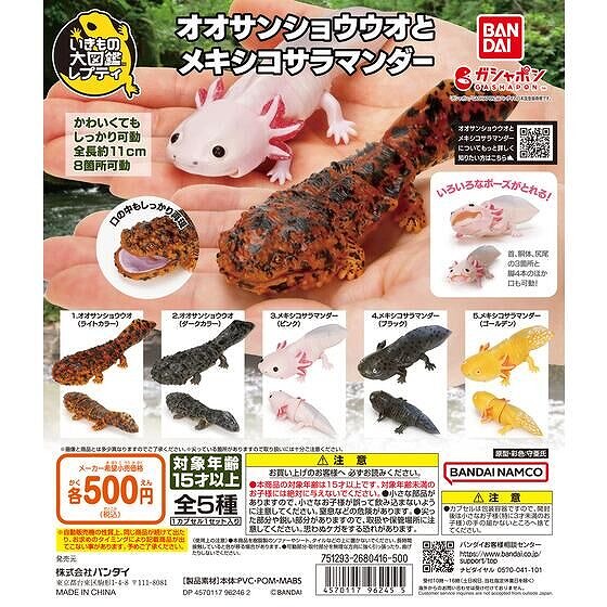 インター淡水用品】オオサンショウウオとメキシコサラマンダー