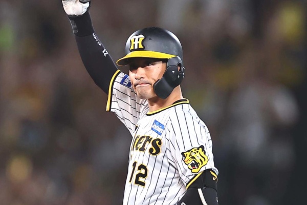阪神タイガース ボブルヘッド 鳥谷 西岡 新井良 桧山 藤浪5体セット