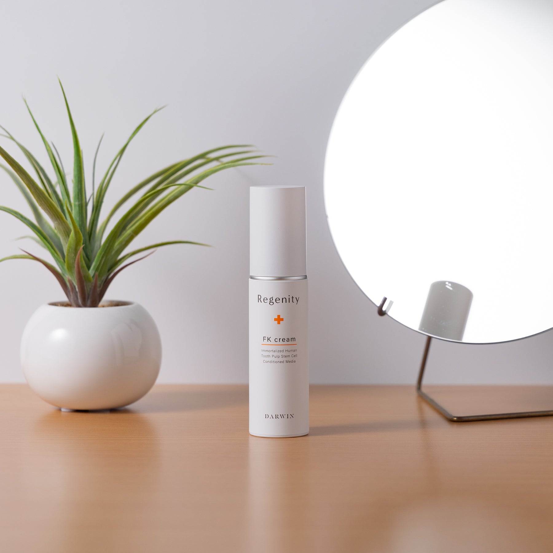 リジェニティ FK クリーム｜Regenity FK cream｜不死化ヒト歯髄幹細胞