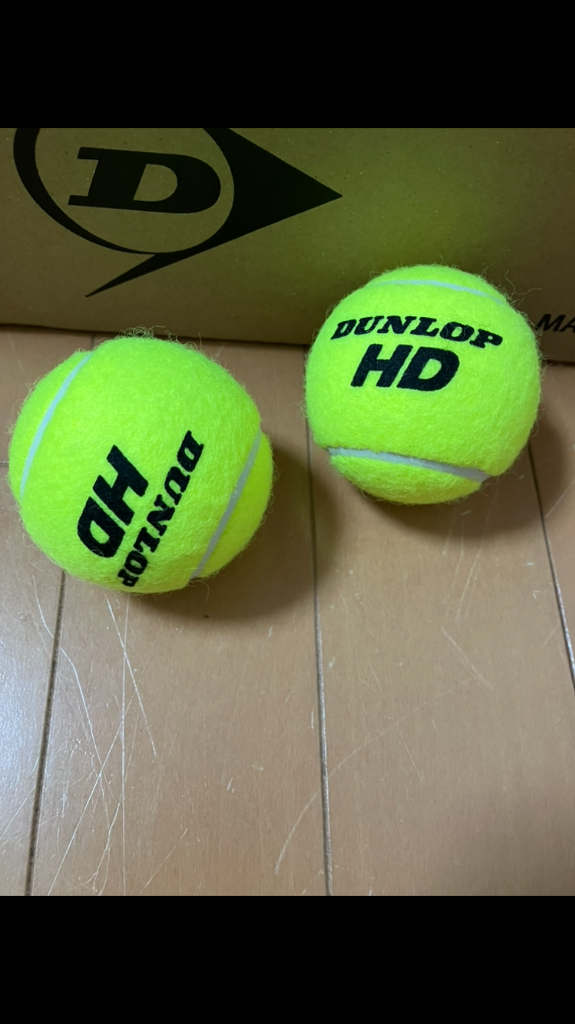 DUNLOP（ダンロップ） 「SDGsプロジェクト」ダンロップ 硬式テニス