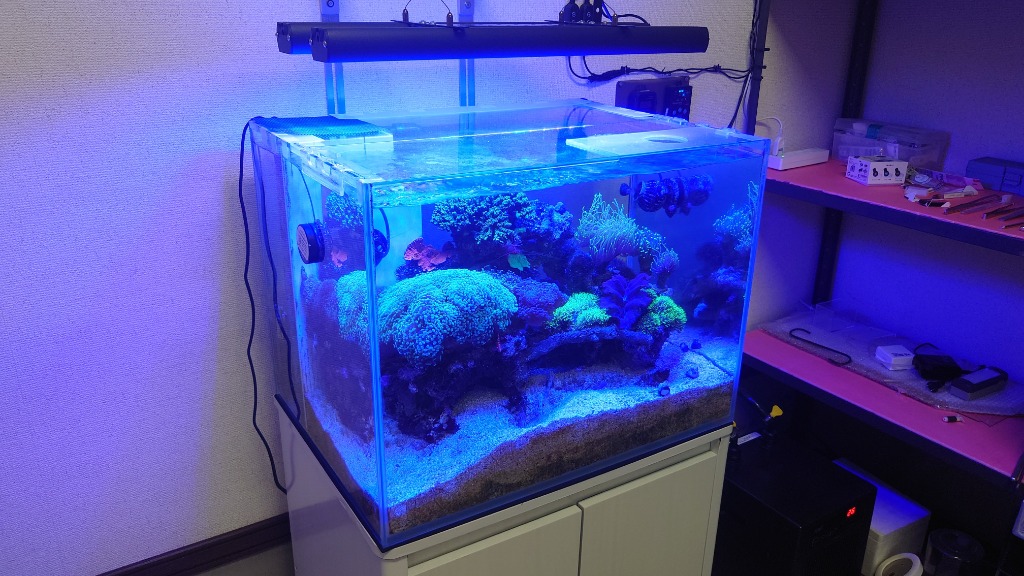 レッドシー ZOOX ラグーンシャイナー 60 レクタングル サンゴ LED照明