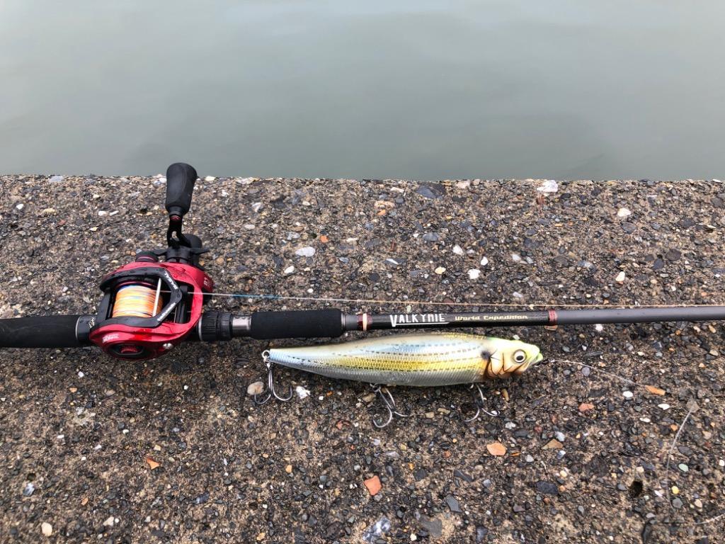 Megabass（メガバス） VALKYRIE WORLD EXPEDITION ヴァルキリー