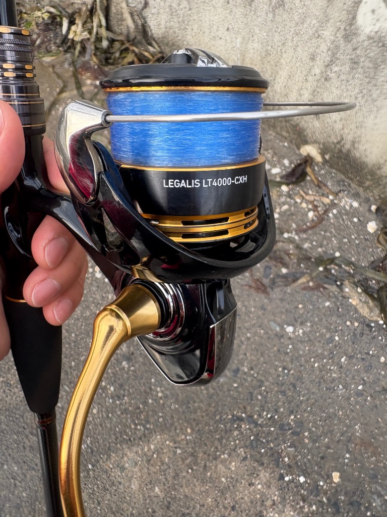 DAIWA（釣り） 23 レガリス LT4000-CXH スピニングリール - 最安値