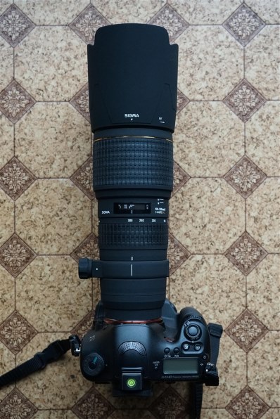 シグマ APO 100-300mm F4 EX DG HSM (ソニー用)投稿画像・動画