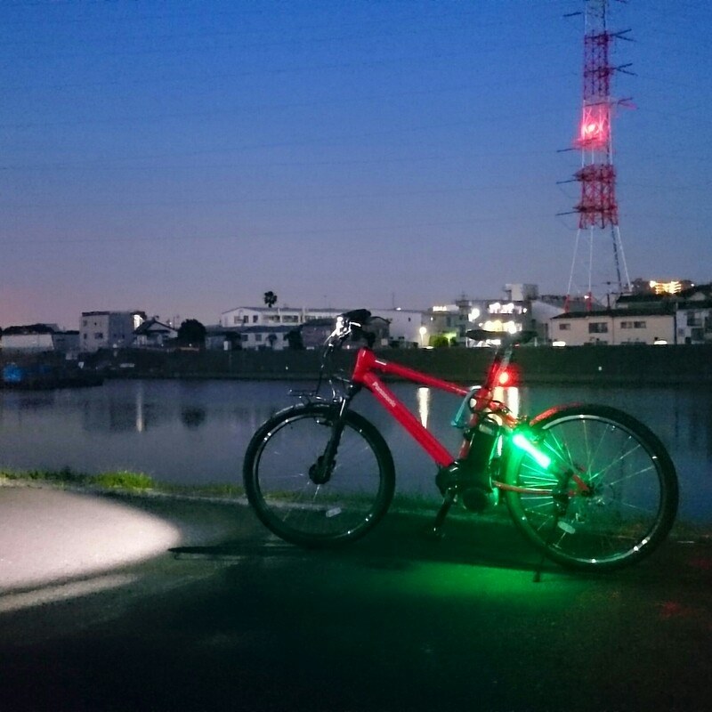 念願の電動アシスト自転車』 パナソニック ハリヤ BE-ELH42-R [フレア