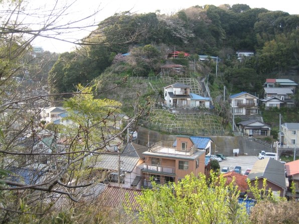 CANON IXY DIGITAL 60で撮影された写真 (レビュー) - 価格.com