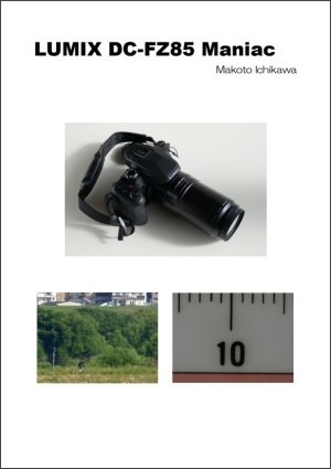 パナソニック LUMIX DC-FZ85 レビュー評価・評判 - 価格.com