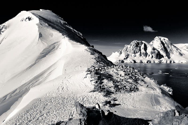 Nobu Shirase, Japan's Little Known Antarctic Explorer - Quark