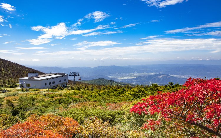 Zao Ropeway Round Trip Ticket in Yamagata, Japan - Klook United States
