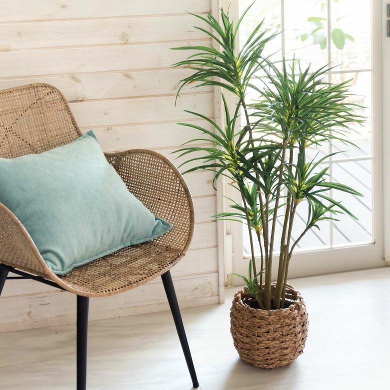 000000004098-10.jpg?size=l&w=