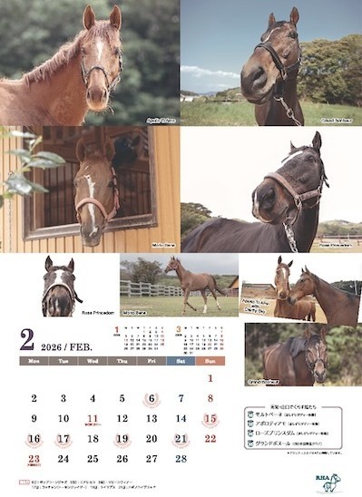 引退馬協会オリジナルグッズ｜認定NPO法人引退馬協会