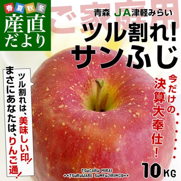 青森県産 JA津軽みらい ツル割れ・サンふじ 10キロ（32玉から50玉前後