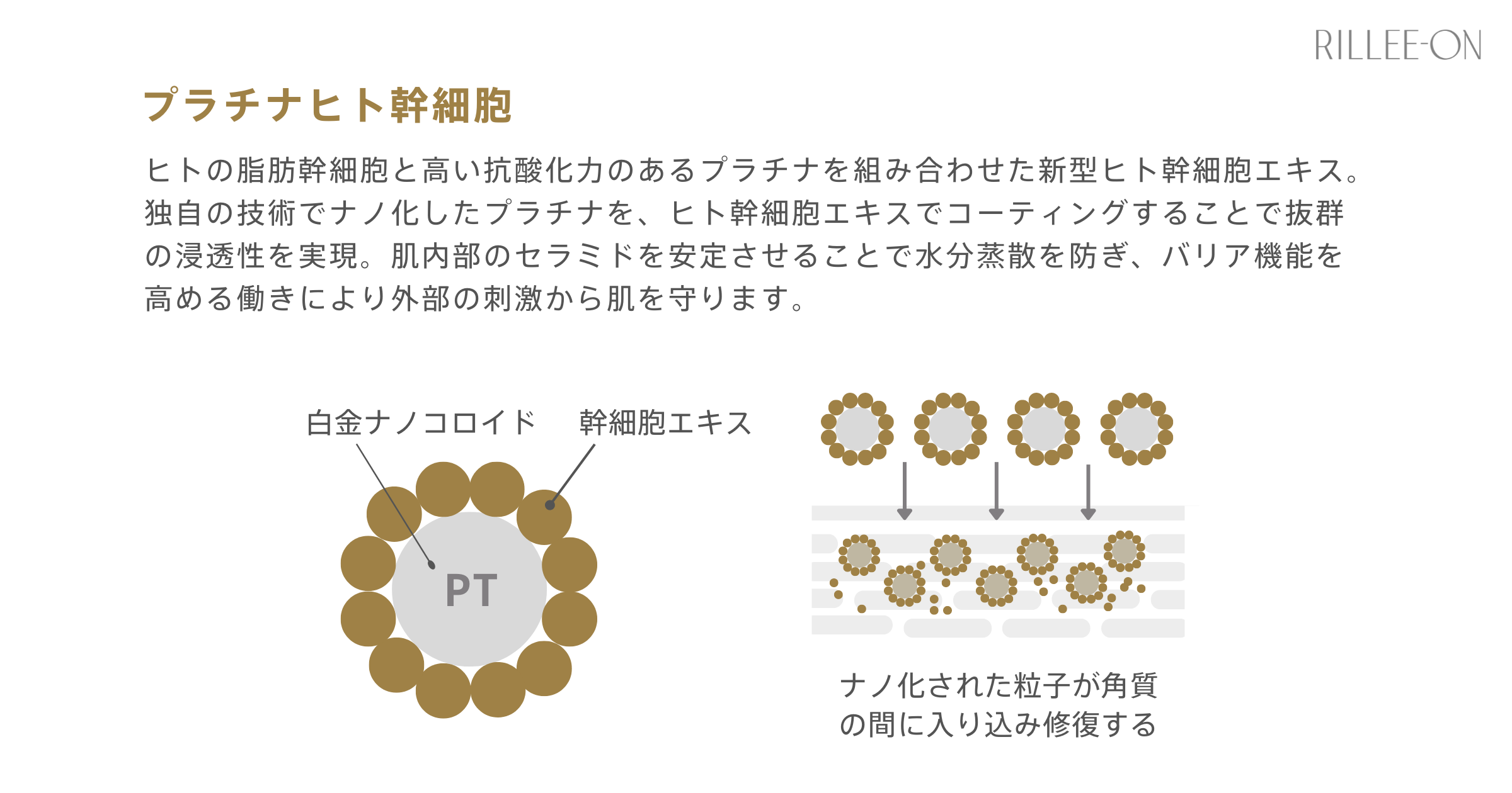 肌質改善におすすめの美容液「アドバンスパーフェクトセラム