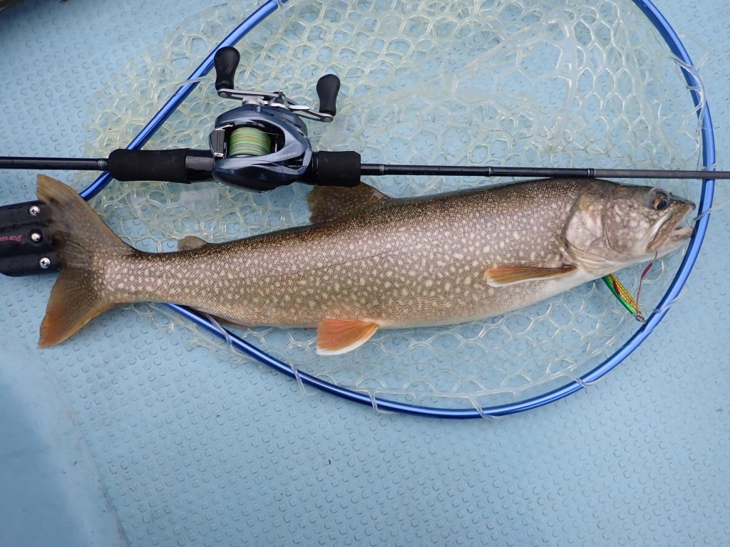 RealCrescent RC-67 Bait/OceanArrow 67UL Snapper 中禅寺湖レイク