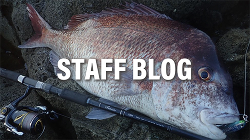 Avarice 110M Nano | リップルフィッシャーリップルフィッシャー