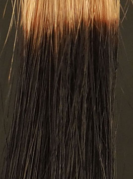 デイラルカラー全4色の染まりを徹底検証。口コミ分析＆専門家の全成分