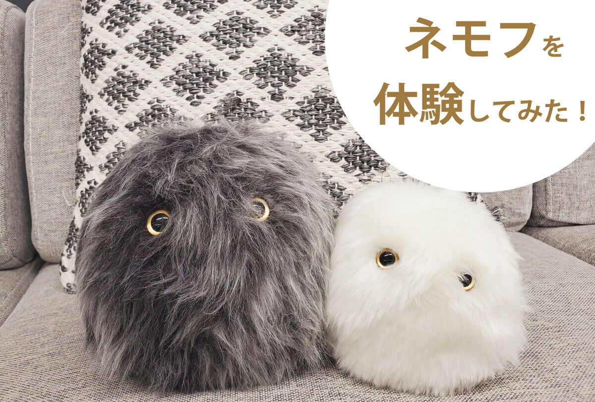睡眠サポートロボットnemoph(ネモフ)を実際に体験してみた！ | PICK UP