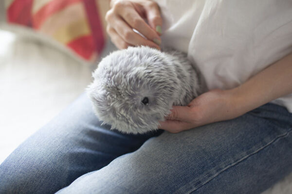 モフリン moflin AIペット クラウドファンディング版 飼い主になつく