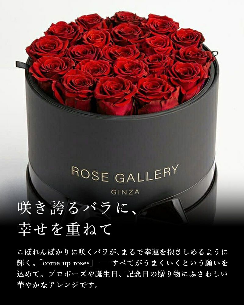 000000000015-19-l.jpg?t=