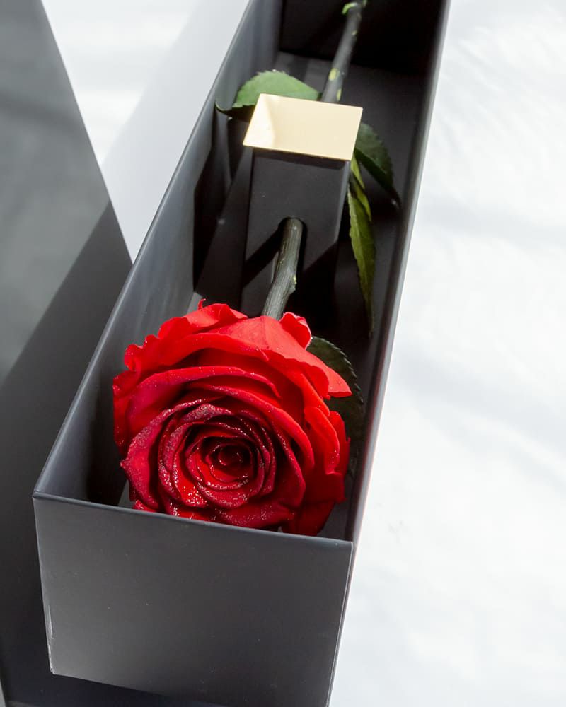 ザ・ワンスペシャルエディション | ローズギャラリー銀座 オンライン