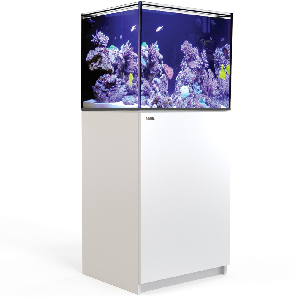 Red Sea Reefer レッドシー リーファ 【レヨンベールアクア】