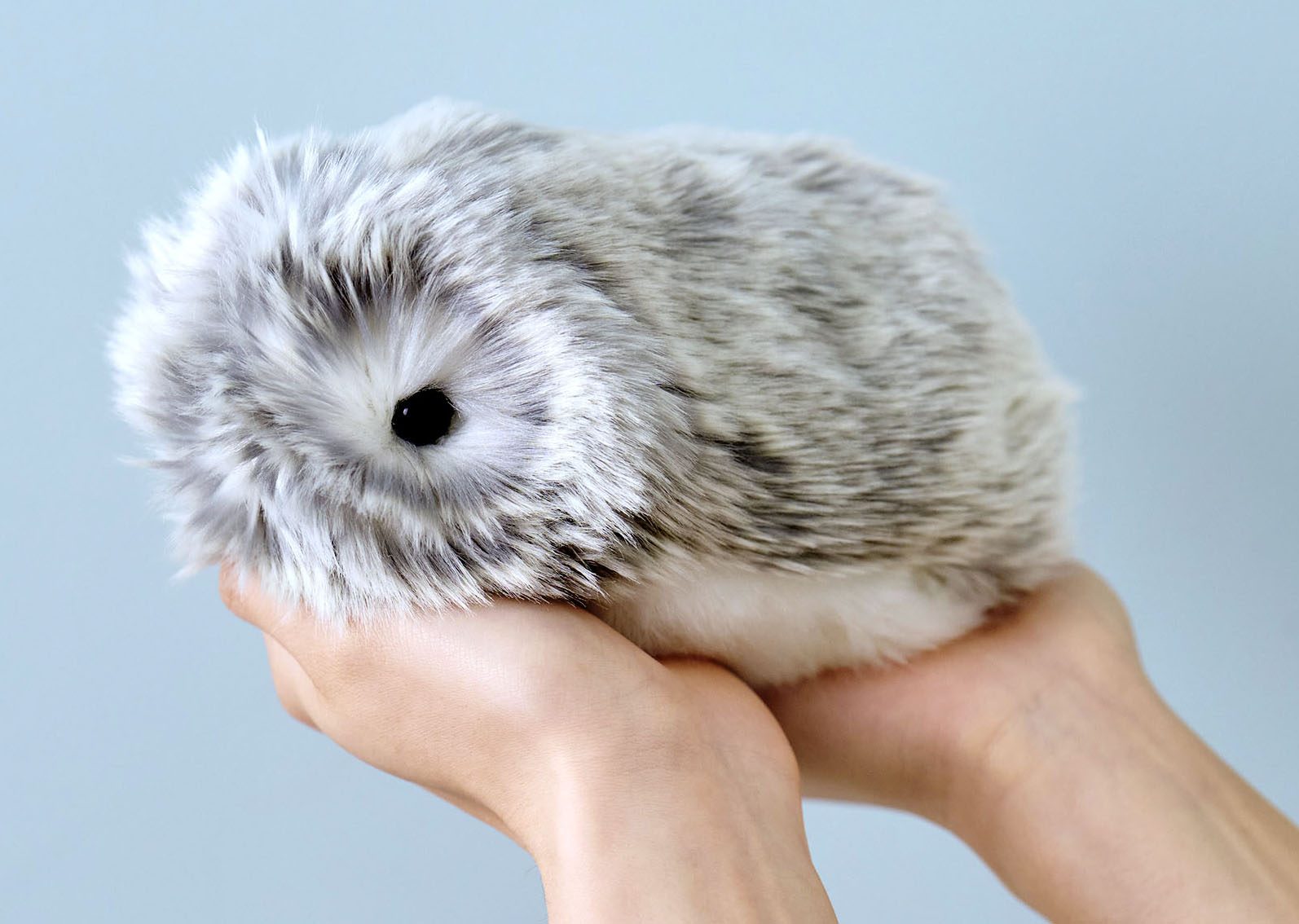 ペットロボット「Moflin」 人になつくAIロボット 市川 絵里奈