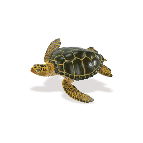 274329 Safari【ウミガメ(10cm)】（廃番）｜動物・恐竜フィギュアのZOOO!