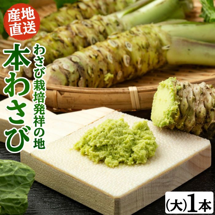 こだわり店主の手作りわさび漬け 3つの辛さを食べ比べセット（大辛口